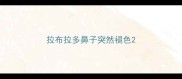 拉布拉多鼻子突然褪色