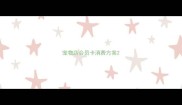 宠物店会员卡消费方案