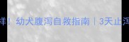 哈士奇腹泻成水样幼犬腹泻自救指南3天止泻的7个家庭护理法