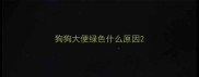 狗狗大便绿色什么原因