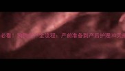 新手必看狗狗生产全流程产前准备到产后护理30天指南