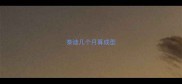 泰迪几个月算成型