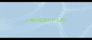 小狗打疫苗打什么药