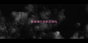 泰迪俩个月能洗澡吗