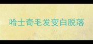 哈士奇毛发变白脱落