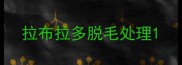 拉布拉多脱毛处理