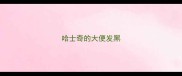 哈士奇的大便发黑