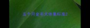 五个月金毛犬体重标准