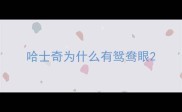 哈士奇为什么有鸳鸯眼