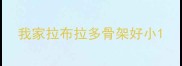 我家拉布拉多骨架好小