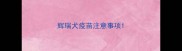 辉瑞犬疫苗注意事项