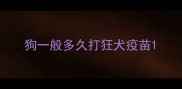 狗一般多久打狂犬疫苗