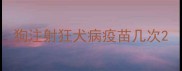 狗注射狂犬病疫苗几次
