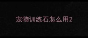 宠物训练石怎么用