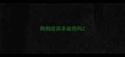 狗狗疫苗本能假吗