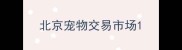 北京宠物交易市场