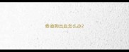 泰迪狗出血怎么办