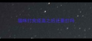 猫咪打完疫苗之后还要打吗