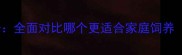 金毛犬vs哈士奇全面对比哪个更适合家庭饲养附养护指南