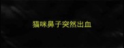 猫咪鼻子突然出血