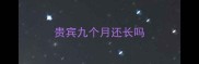 贵宾九个月还长吗