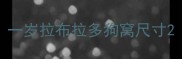 一岁拉布拉多狗窝尺寸