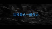 边牧最大一般多大