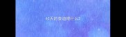 40天的泰迪喂什么