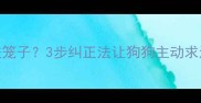 拉布拉多幼犬拒进笼子3步纠正法让狗狗主动求进笼附训练视频