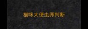猫咪大便虫卵判断