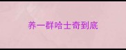 养一群哈士奇到底