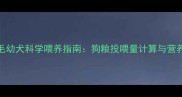 2个月金毛幼犬科学喂养指南狗粮投喂量计算与营养搭配全