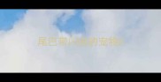 尾巴带闪电的宠物