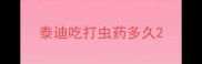泰迪吃打虫药多久