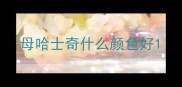 母哈士奇什么颜色好