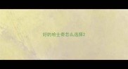 好的哈士奇怎么选择