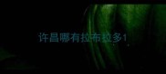 许昌哪有拉布拉多