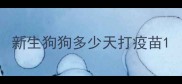 新生狗狗多少天打疫苗