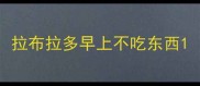 拉布拉多早上不吃东西