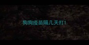 狗狗疫苗隔几天打