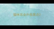 猫咪耳朵外面黑点