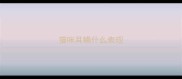 猫咪耳螨什么表现