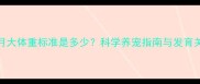 可卡犬4个月大体重标准是多少科学养宠指南与发育关键期管理