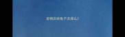 宠物店给兔子洗澡么