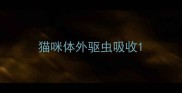 猫咪体外驱虫吸收