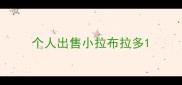 个人出售小拉布拉多