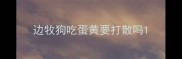 边牧狗吃蛋黄要打散吗