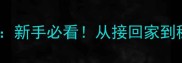 40天养活泰迪全攻略新手必看从接回家到稳定饮食的详细指南