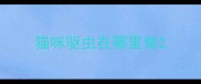 猫咪驱虫在哪里做