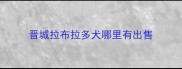 晋城拉布拉多犬哪里有出售